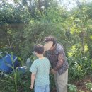 외성농장 이미지