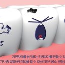 혼 치과기공소 네이버블로그