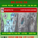 광복 80주년 기념 국민단합대회 및 전국 독도지킴이 지도자 총결의대회 이미지