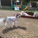 멍스테이션 이미지