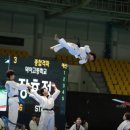 팀케이태권도장 이미지