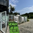 소문난 강아지 | 으르렁파크&gt;경기도 사람 주목!인스타에서 소문난 애견수영장 주말 후기(강아지와 여름 휴가 즐기기1탄)