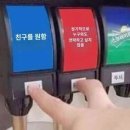 선광1호 | ଘ(*. .) 귀여운 건 정말이지 참을 수가 없어…★
