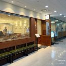 마리초밥 | 광화문 초밥집 신라스테이 광화문 근처 맛집 일품 광화문점 프리미엄 카이센동 한마리 우나기동 후기