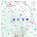 "울산청맥"과 함께 월출산 산성대 능선 천황봉&한국 100대 명산 순례산행(2016년 3월 6일.일요일) 이미지