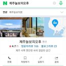 제주늘보의오후 이미지