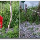 배기공원 이미지