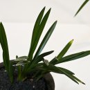 거목개발(주) 이미지