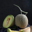 홍원바이오아그로 이미지