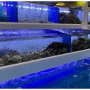 싱싱슈퍼 이미지