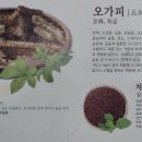 대중메디팜 이미지