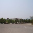 금락1리 이미지