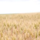 그 다음 이미지