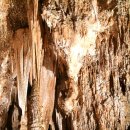 칼즈배드 이미지