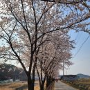 금대초등학교 이미지