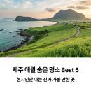 애월에서 이미지