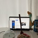 아수림