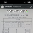 멍글멍글펫글램핑 이미지