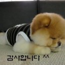 ㅎㅎㅎ