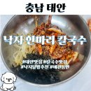낙지한마리 | 태안 애견 동반 식당 낙지 한 마리 칼국수 낙지덮밥 맛집 아침식사 가능한 곳