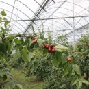 록원농장 이미지