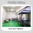 아이비즈파트너스