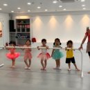 성인발레 이미지