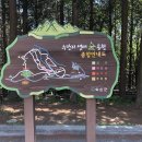 수만리 생태숲공원 이미지