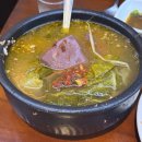 대성젓갈 | [동대문 용두동/해장국 맛집] 어머니대성집 매장방문 후기