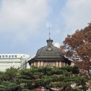 [8편] 2025년11월12일 수요일 창경궁을 다녀와서! 이미지