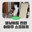 뚱냥이네 | 아토주 엘라인 고양이 수직스크래쳐 리얼 후기, 뚱냥이도 반한 강력 추천템!