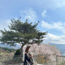 낭만펜션 | 충주여행 1박2일 대가족여행 독채펜션 낭만포레 숙소후기