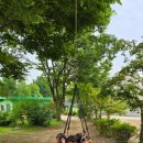 용봉초병설유치원 이미지