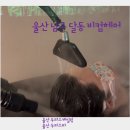 울산 남구 달동 비컴헤어 두피 스케일링 스파 후기