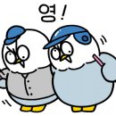 은평구라온리틀야구단 이미지
