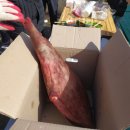 충청무인항공 이미지