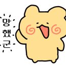 수원-0205 이미지