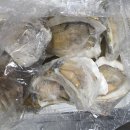 굴대박 | 해녀언니 바위굴 내돈내산 찐 후기! 크림굴 줄줄 맛 대박