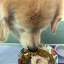 찹찹테이블 이미지