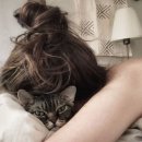 나만고양이없어 이미지