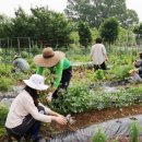 맘스허브 이미지