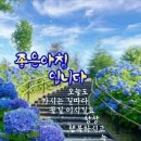 외우경로당 Daum카페