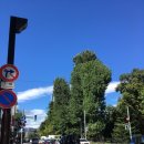 오픈케어 이미지