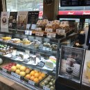 엘가팬션 이미지