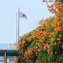 용답꽃공원 이미지