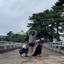 스타벅스성산일출봉점
