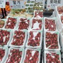 와이식자재마트 무안점