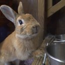 이승민농장 이미지