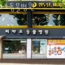 피카소동물병원 이미지