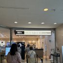 중앙초등길 | 서울 초등학생이랑갈만한곳 국립중앙박물관 관람 후기